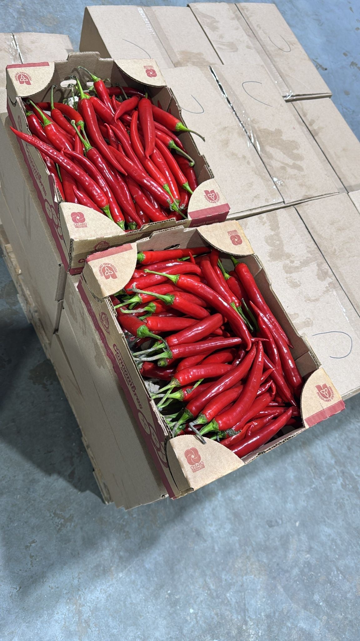 Cayenne (Bawa) Pepper-11lbs box
