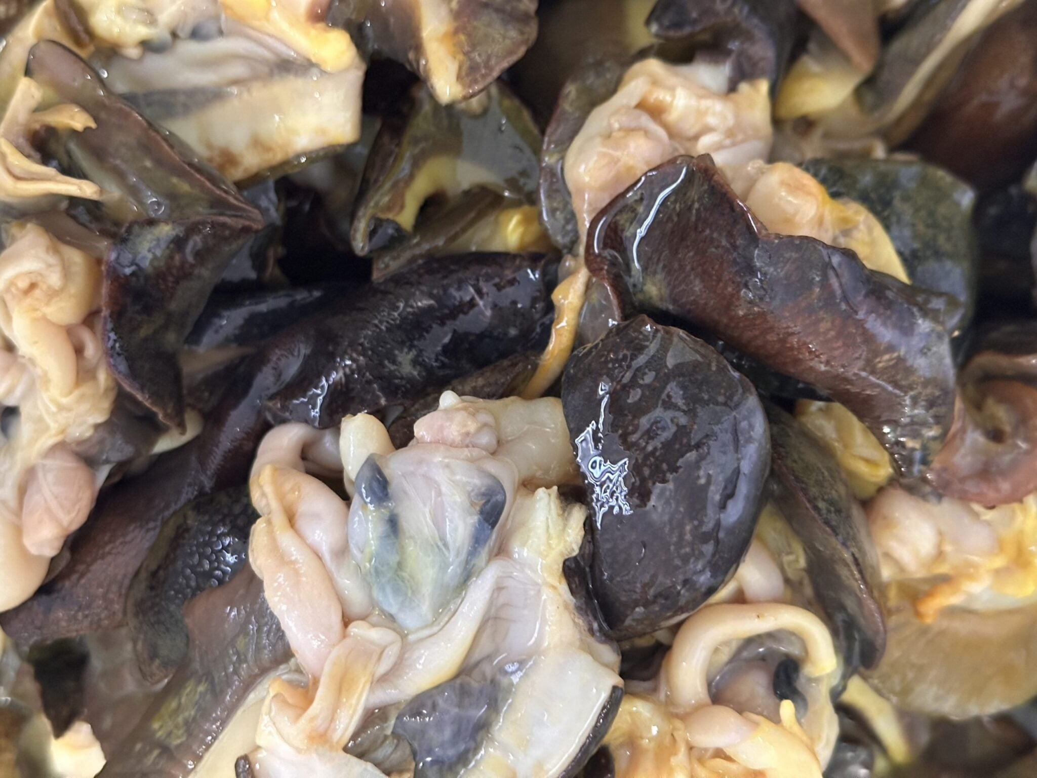 Snails -500g Pack (Medium-Large)
