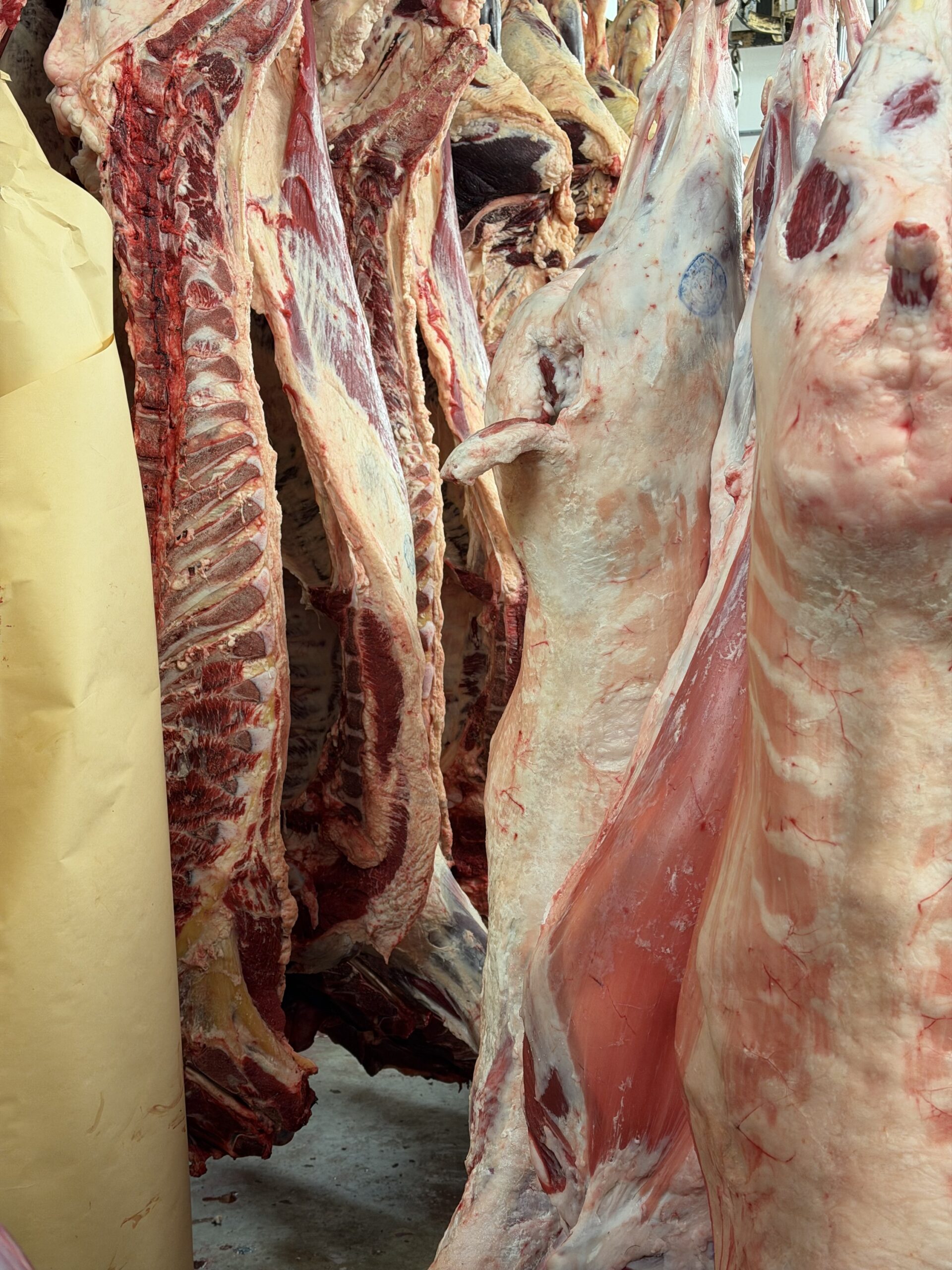 Meat Sharing with parts -(Cow/Goat)