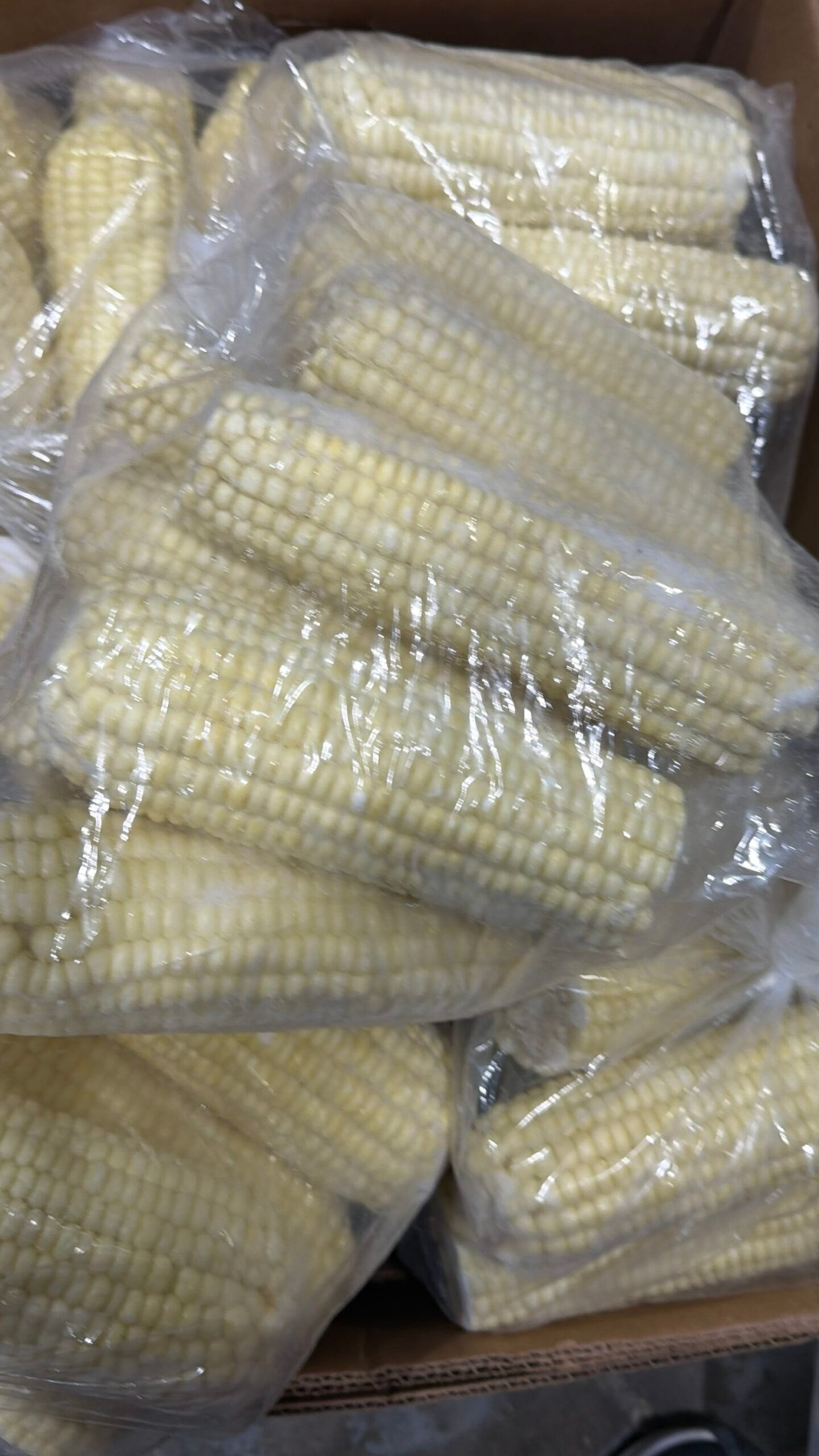 Nigerian corn (precooked) do not boil in water