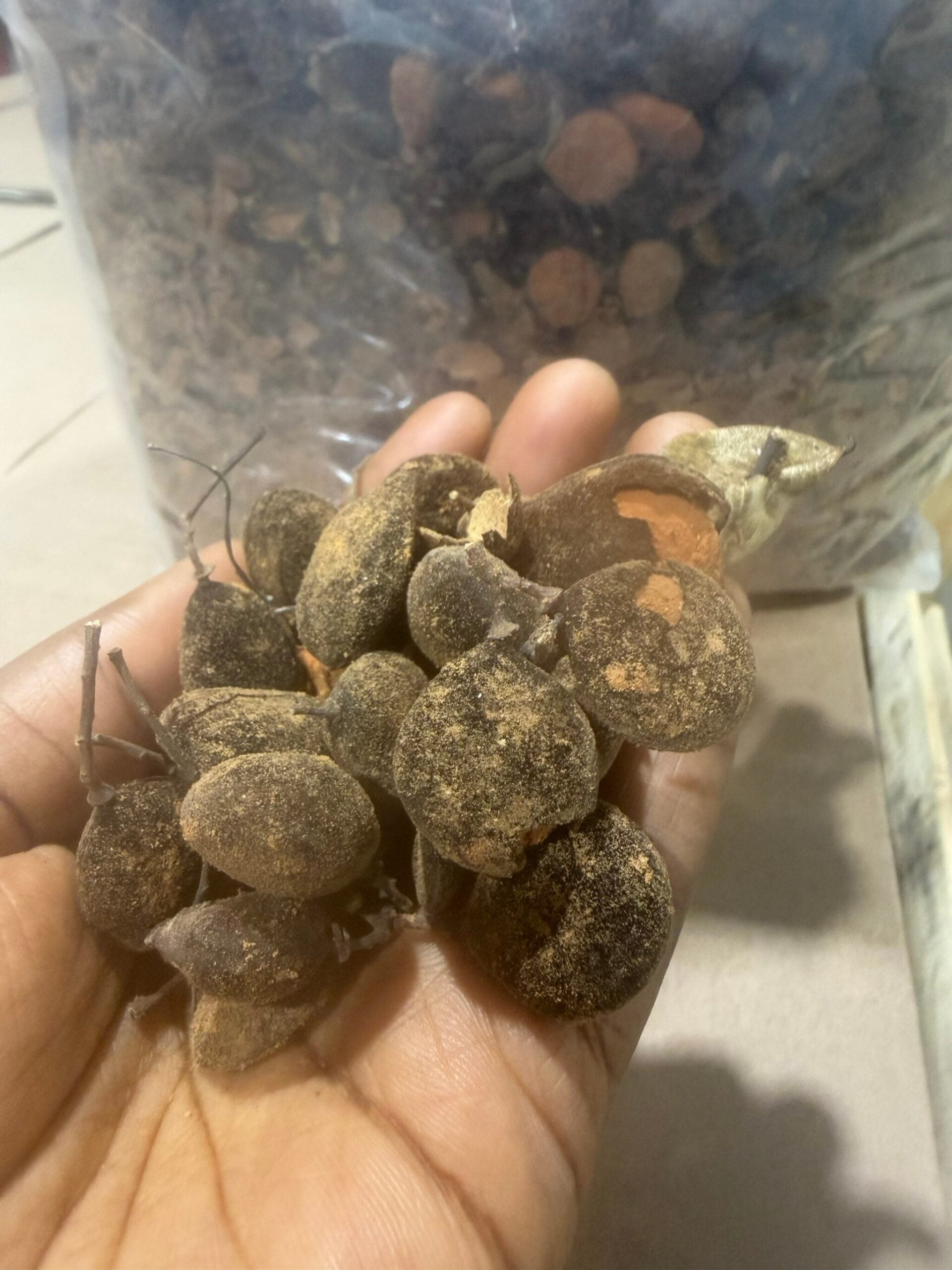 Velvet Tamarind -Likiliki